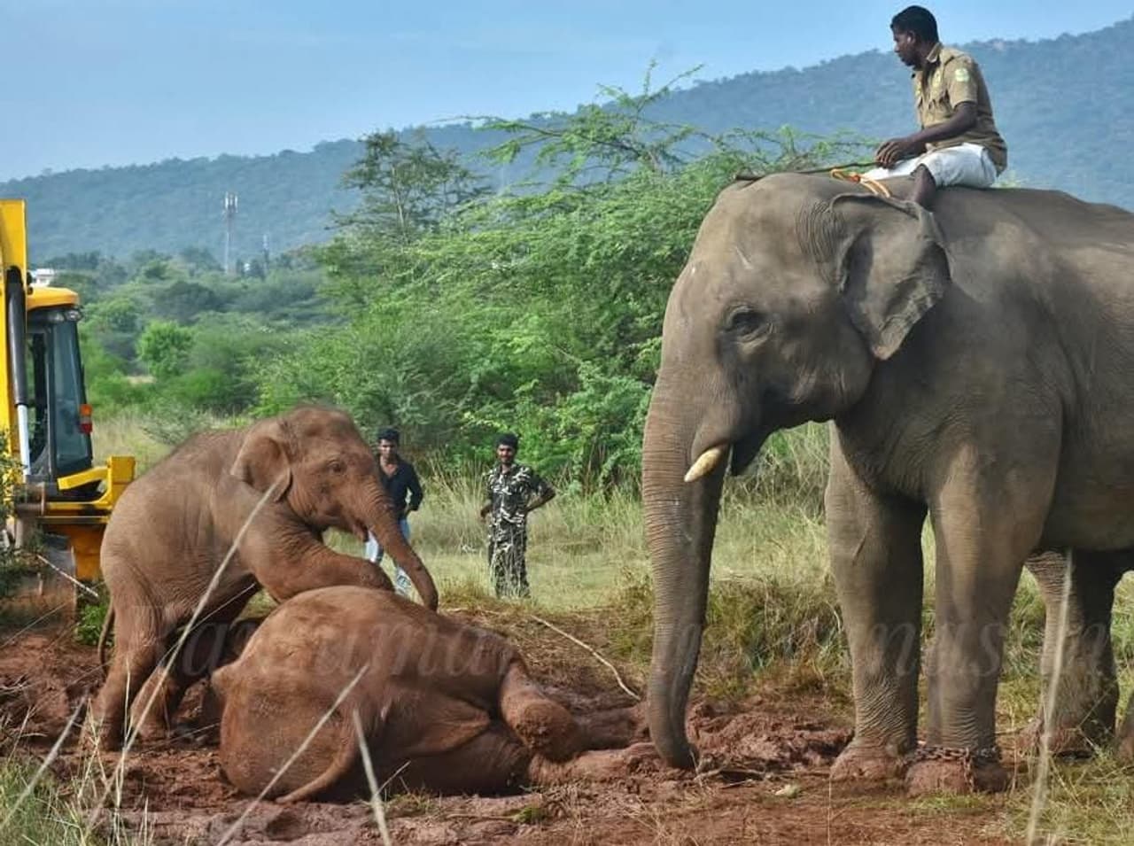 கோவையில் நிகழ்ந்த பெரும் சோகம்!
