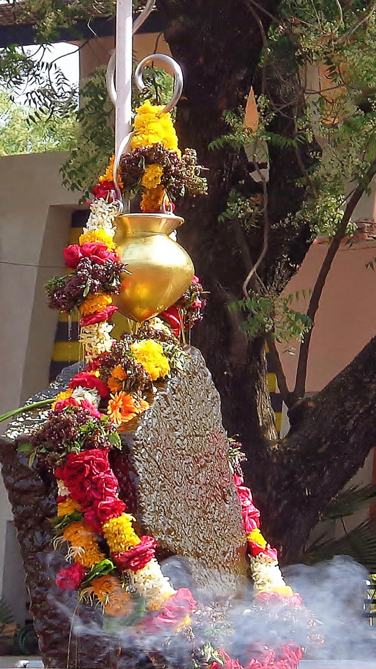 మహా విపరీత రాజయోగం.. మహా విపరీత రాజయోగం..