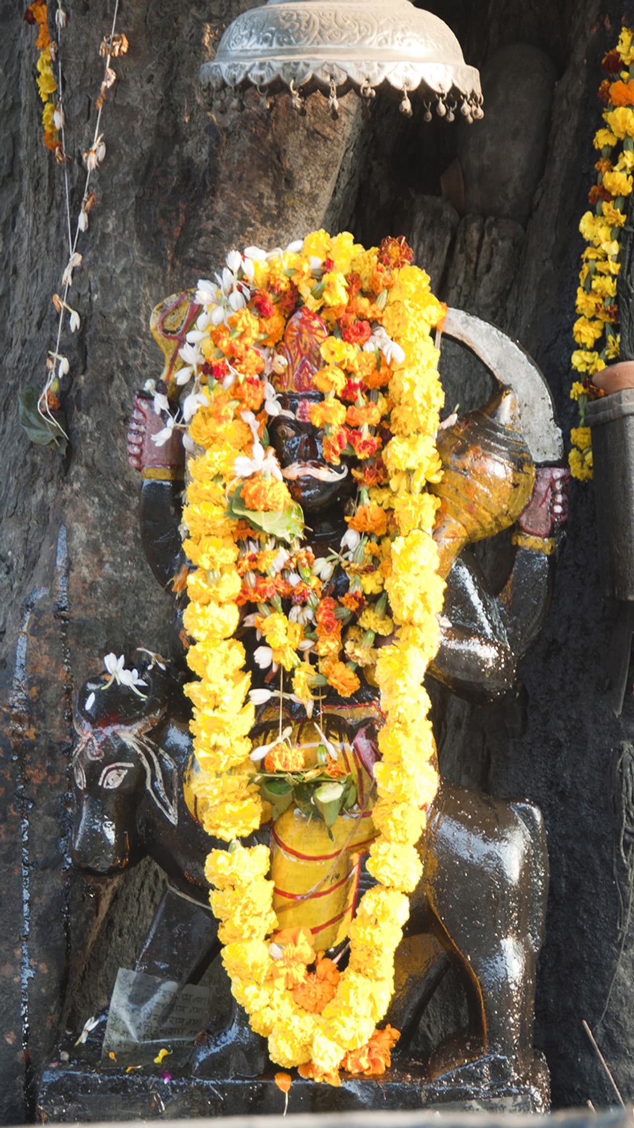 శని వక్రగతి ప్రభావం..