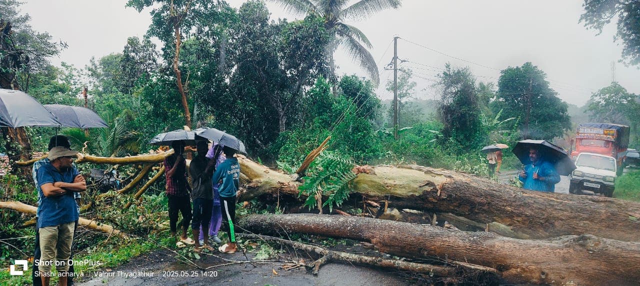 राज्यातील पावसाची स्थिती राज्यातील पावसाची स्थिती