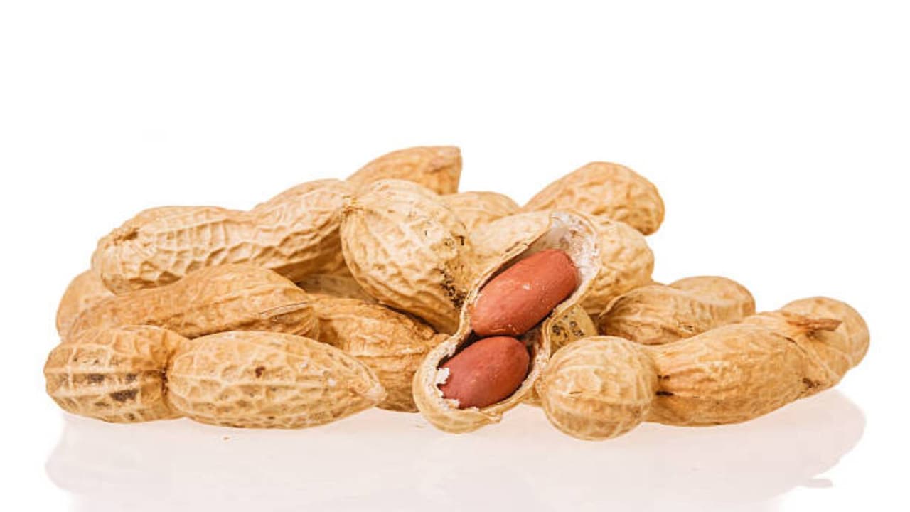 வேர்க்கடலை :