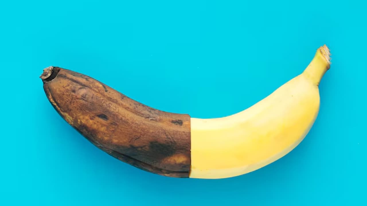 Wrap the Stem in Plastic or Foil Wrap the Stem in Plastic or Foil