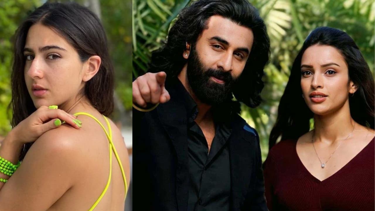 एनिमल एनिमल