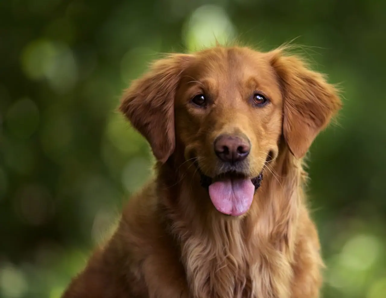 Harvesting Robotics Harvesting Robotics