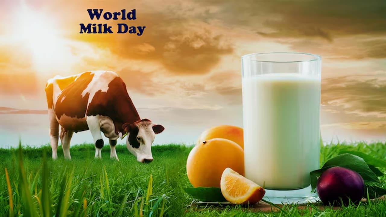 ল্যাকটোজ ইনটলারেন্স কি? ল্যাকটোজ ইনটলারেন্স কি?