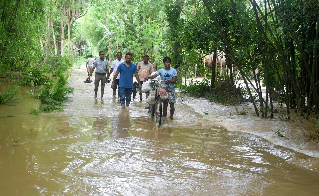 DVC র ছাড়া জলে বানভাসি DVC র ছাড়া জলে বানভাসি
