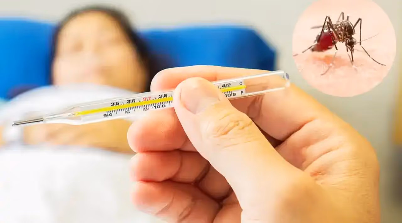 ಡೆಂಗ್ಯೂ ವೈರಲ್ ಫೀವರ್