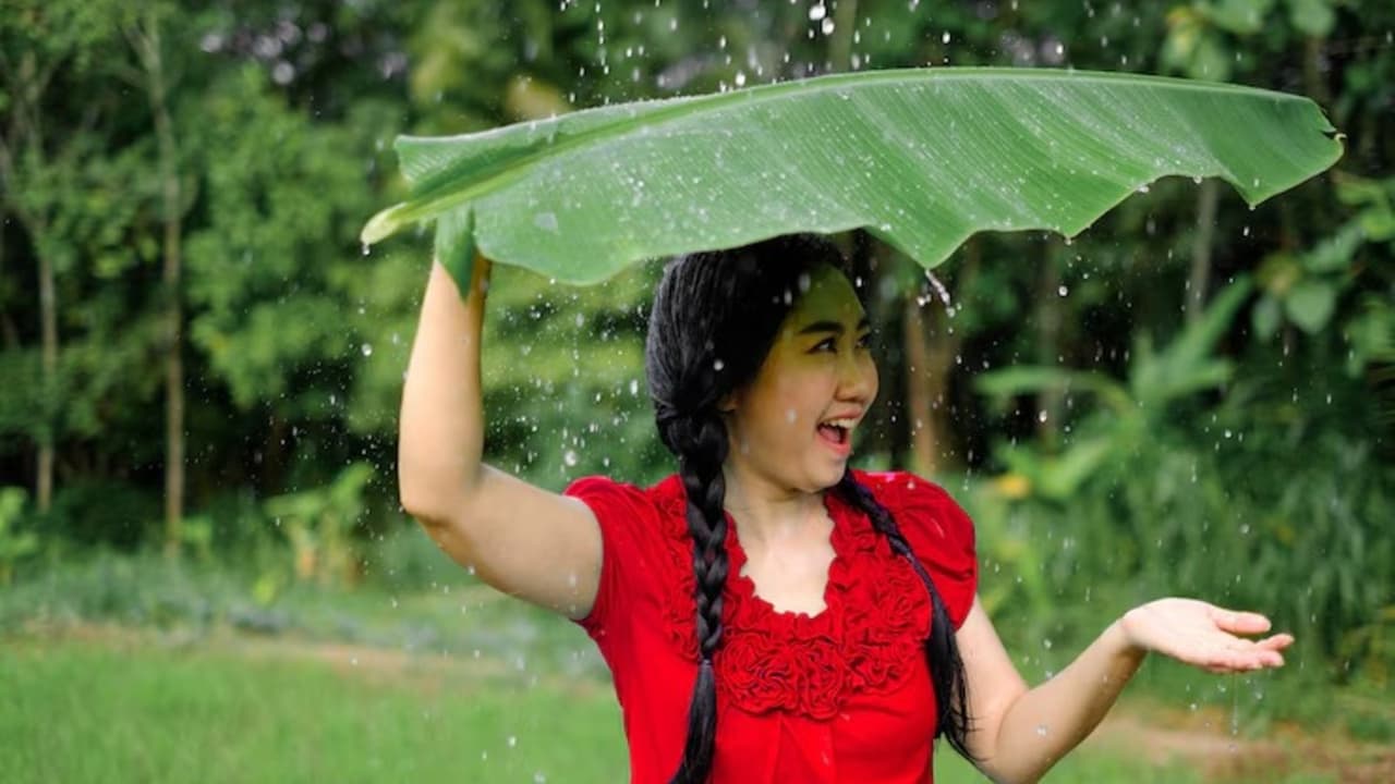 बारिश आई लेकिन गर्मी गई नहीं! बारिश आई लेकिन गर्मी गई नहीं!