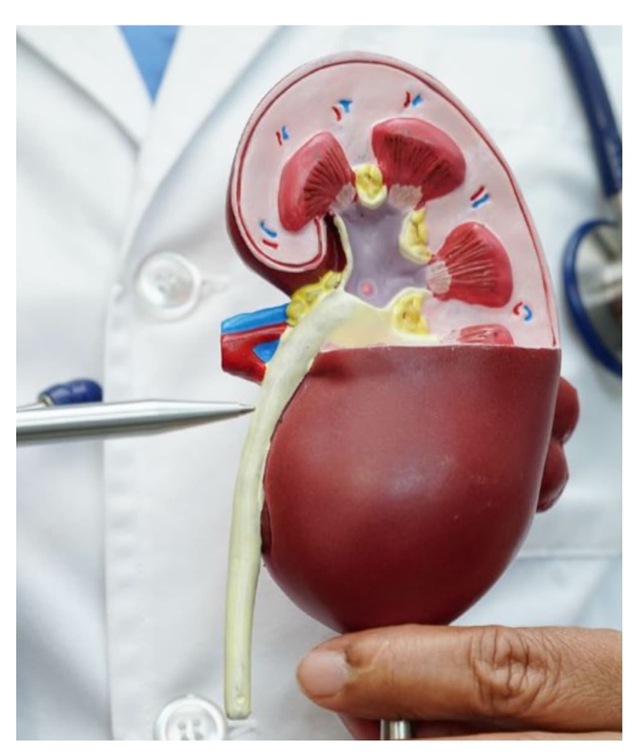 ಅನಾರೋಗ್ಯಕರ ಜೀವನಶೈಲಿ