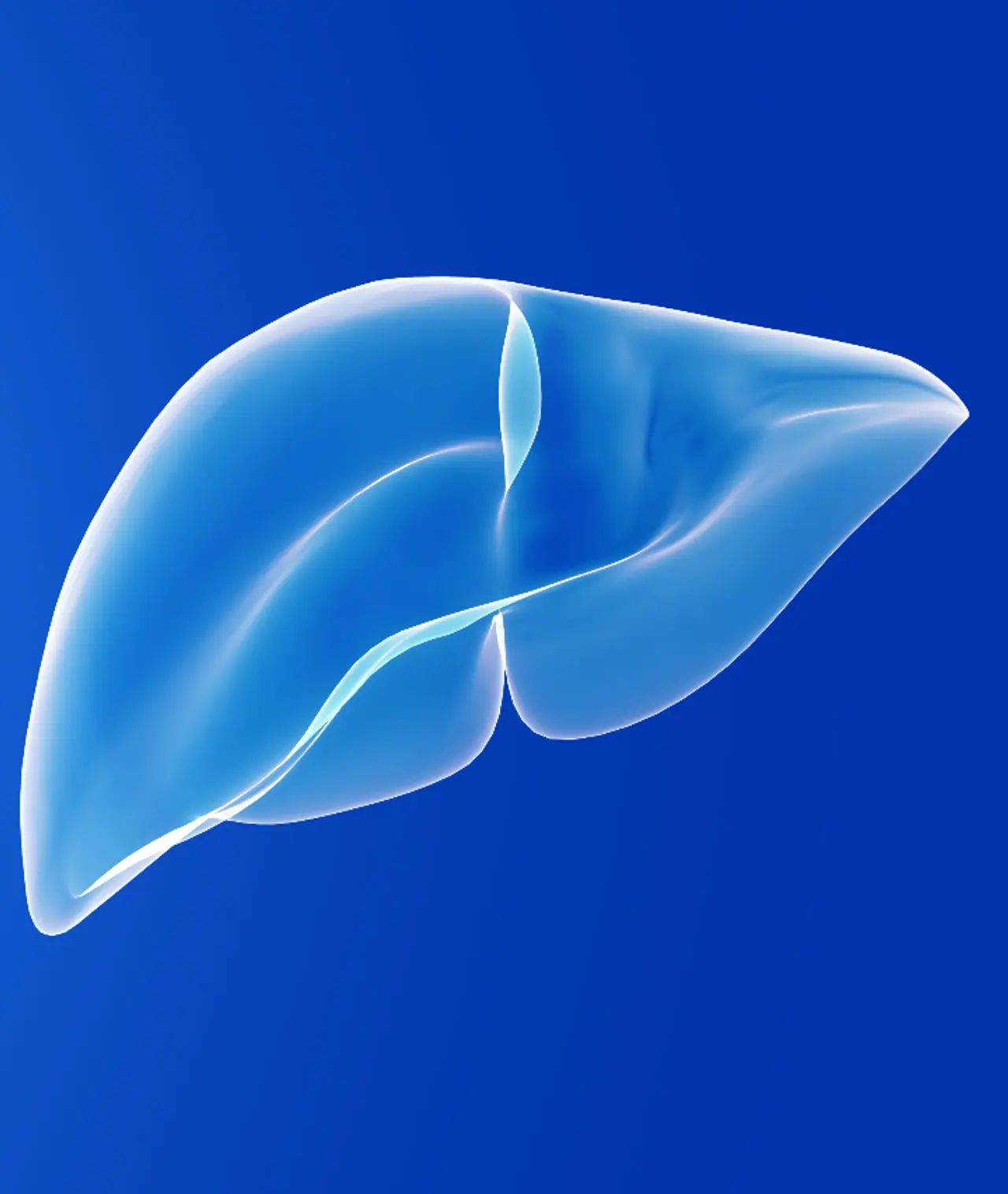 Body Signs Body Signs