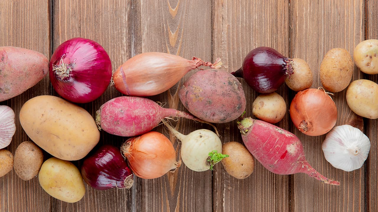 बारिश में जरूरी है रूट वेजिटेबल्स की सफाई बारिश में जरूरी है रूट वेजिटेबल्स की सफाई