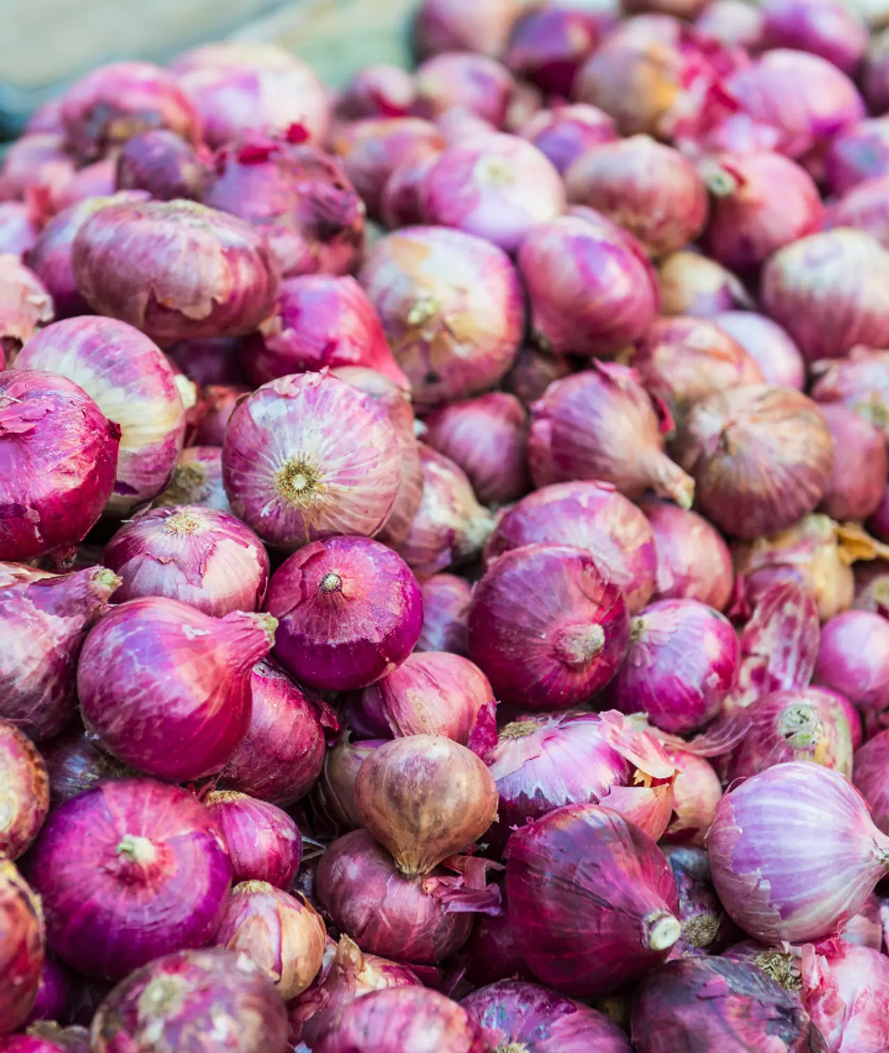 వర్షాకాలంలో ఉల్లిపాయలు నిల్వ చేసే చిట్కాలు