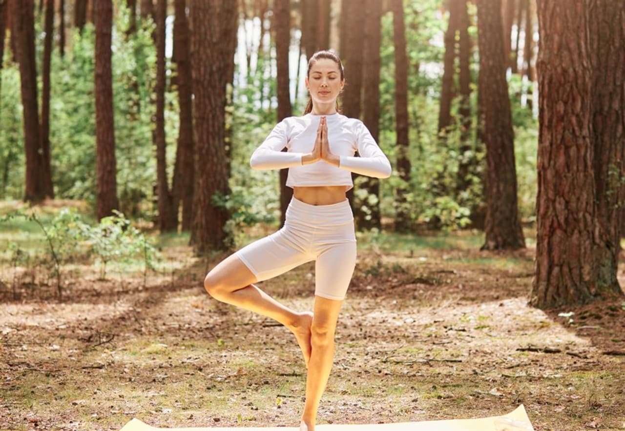 వృక్షాసనం.. వృక్షాసనం..