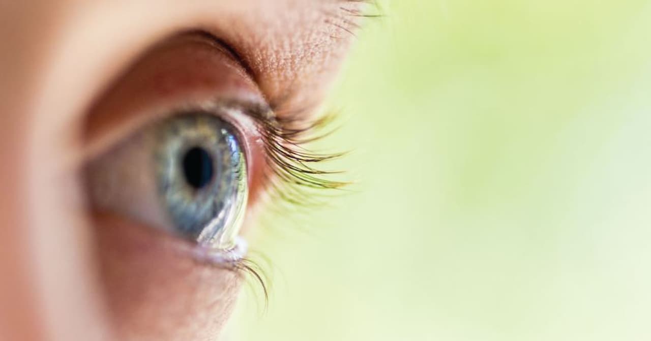 ಆ 10 ಸೂಪರ್‌ಫುಡ್ಸ್