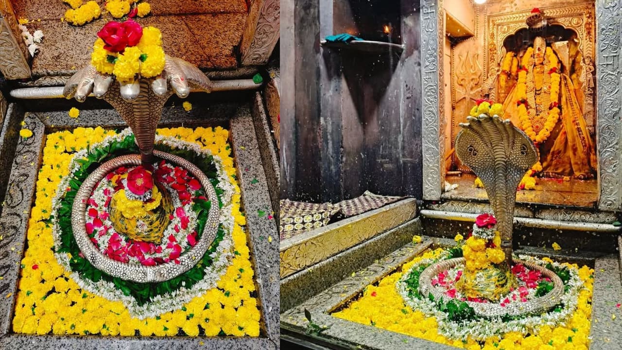 শিবভক্তদের জন্য অত্যন্ত পবিত্র শিবভক্তদের জন্য অত্যন্ত পবিত্র