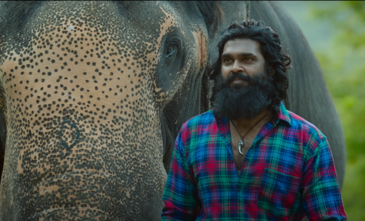 Padai Thalaivan Box Office Collection