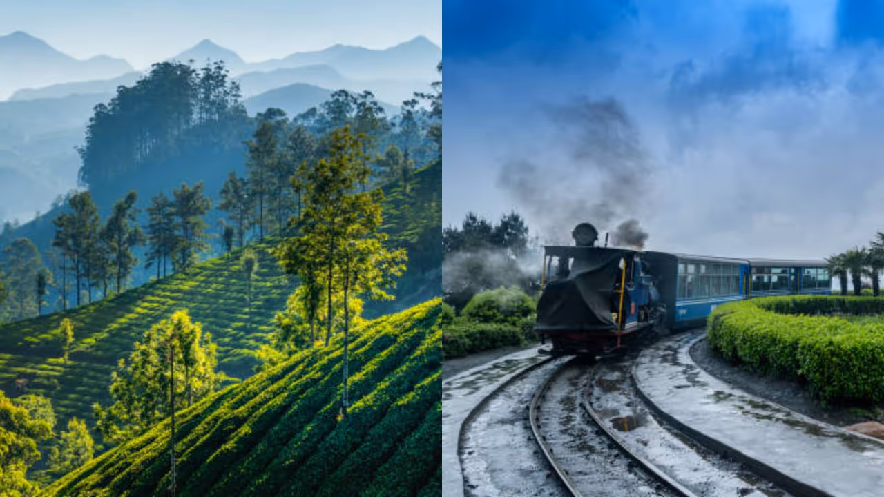 Darjeeling Darjeeling