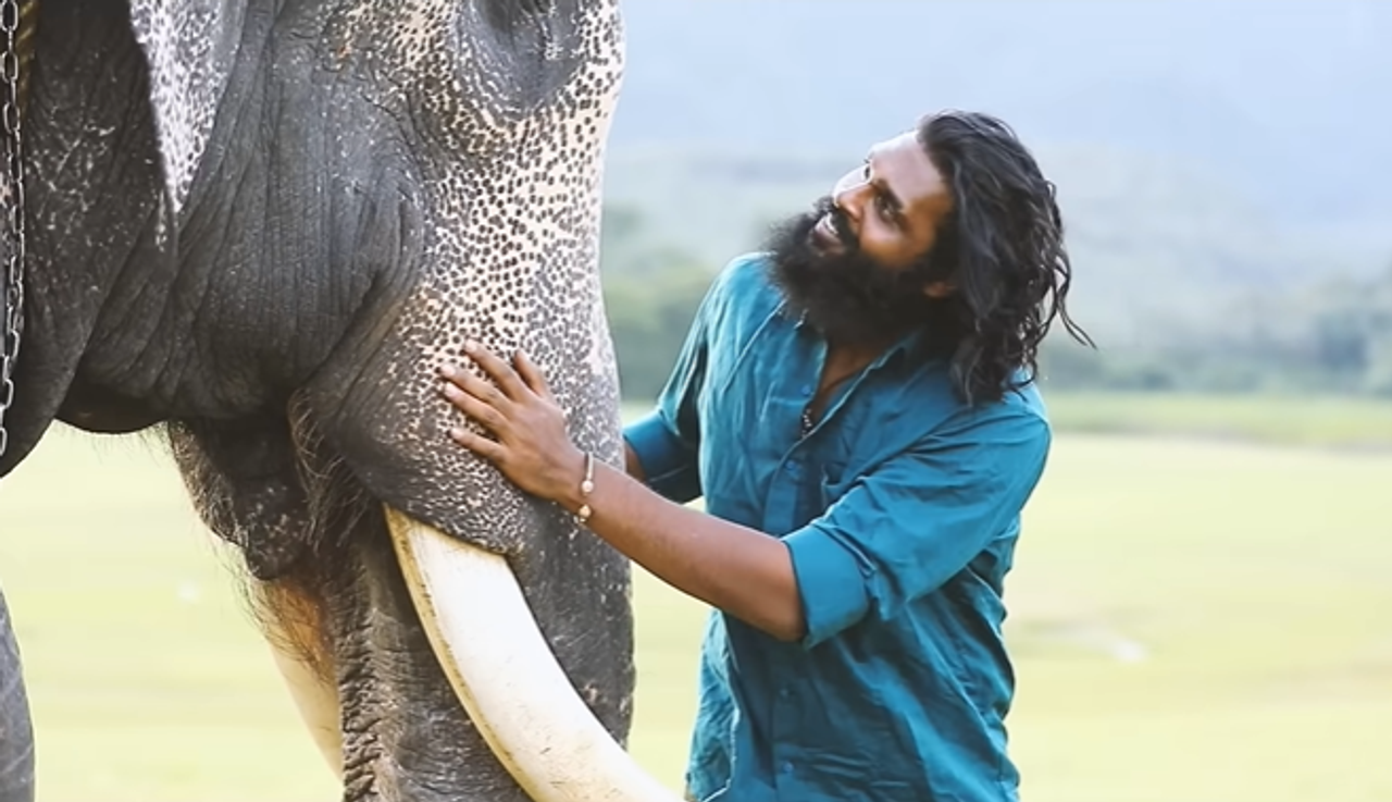 Padai Thalaivan Box Office Collection