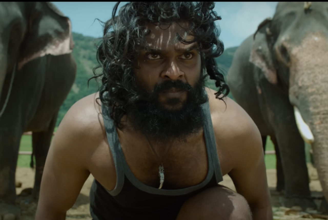 Padai Thalaivan Box Office Collection