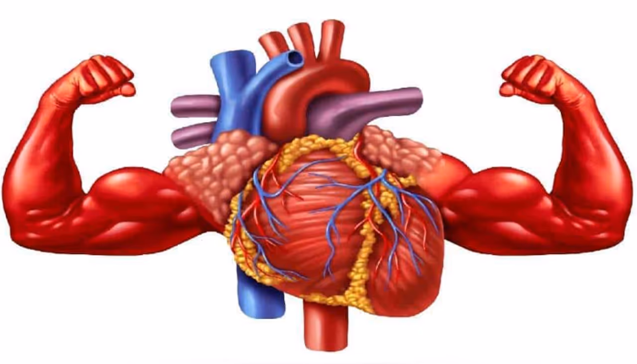 Heart Healthy Exercises