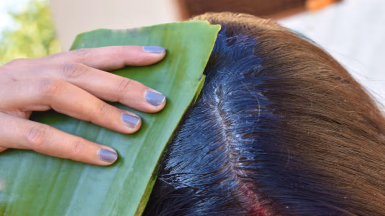 கற்றாழையின் கூந்தல் நன்மைகள்: