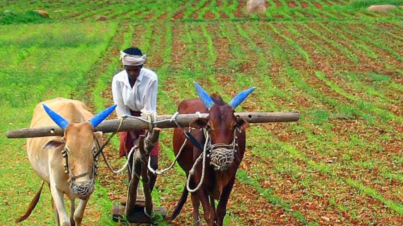 விவசாயிகளுக்கான திட்டங்கள்