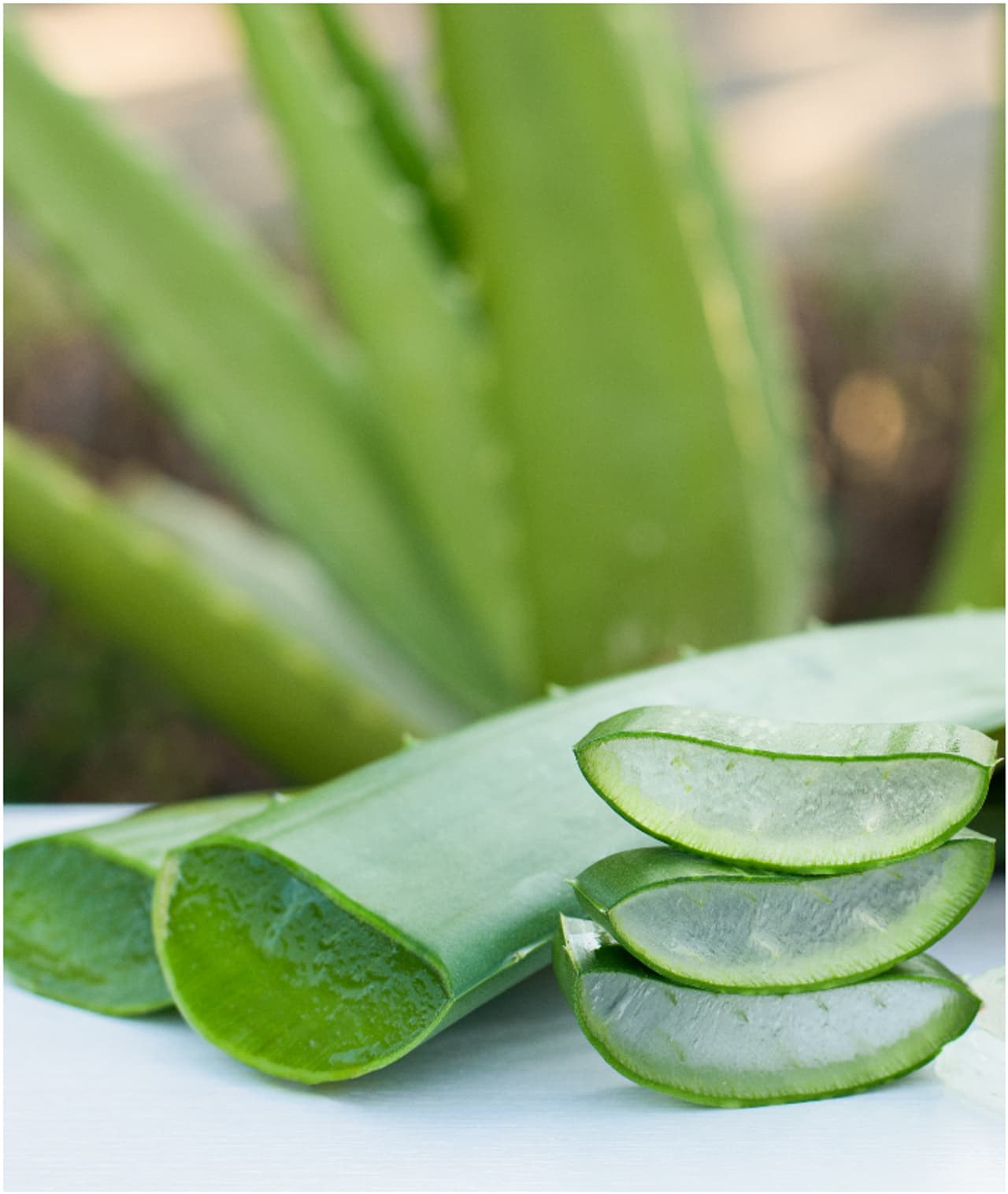 অ্যালোভেরা জেল