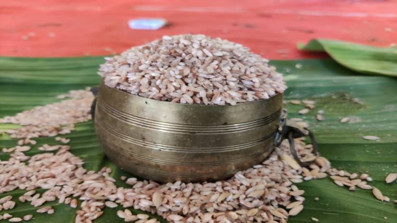 மாப்பிள்ளை சம்பா :