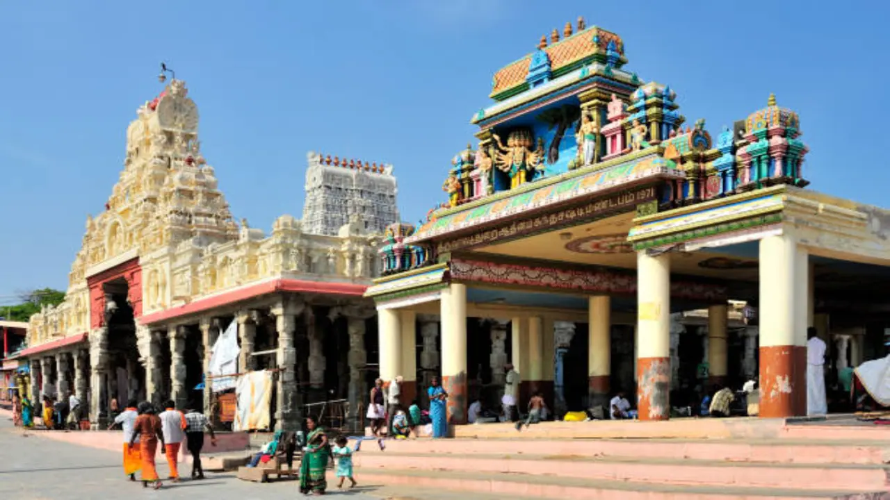வைகாசி விசாகம் வசந்த திருவிழா வைகாசி விசாகம் வசந்த திருவிழா