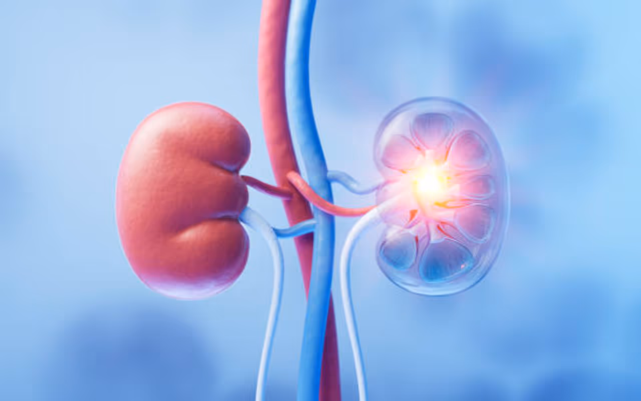 Best Foods For Kidney Health