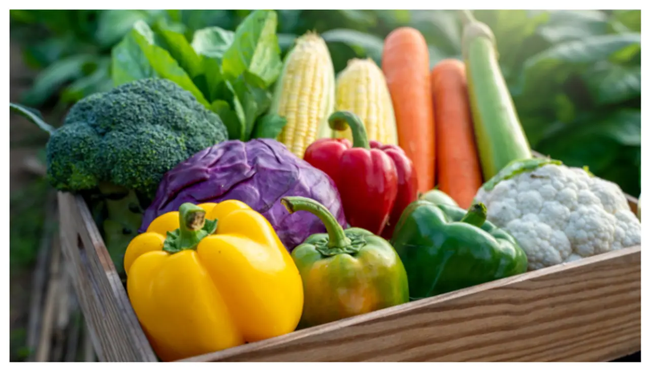 மழைக்காலத்தில் காய்கறிகள் கெட்டுப்போகாமல் இருக்க மழைக்காலத்தில் காய்கறிகள் கெட்டுப்போகாமல் இருக்க