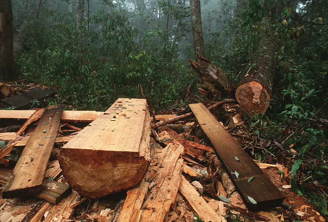 Mysore Sandal Soap Has Its Best Month Ever, Despite a PR Firestorm