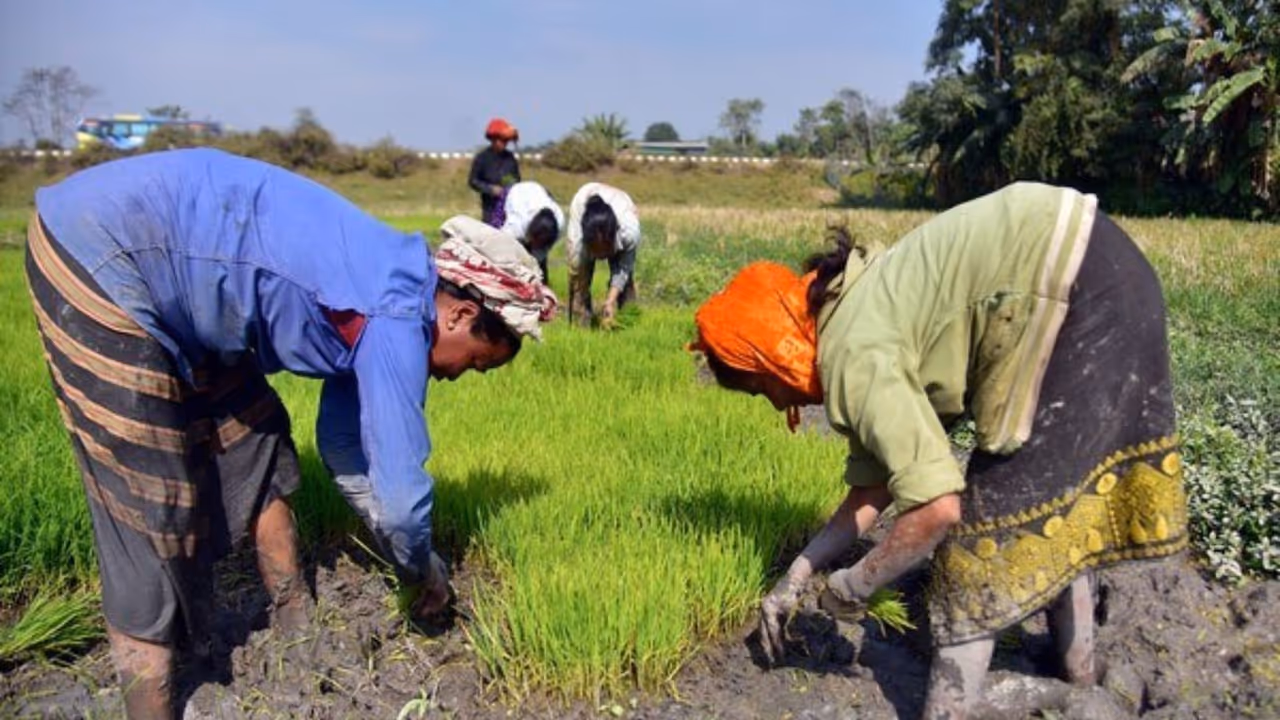 புதிய திட்டத்தின் துவக்கம்: விவசாயிகள் வாழ்வில் ஒளியேற்றும் தமிழக அரசு