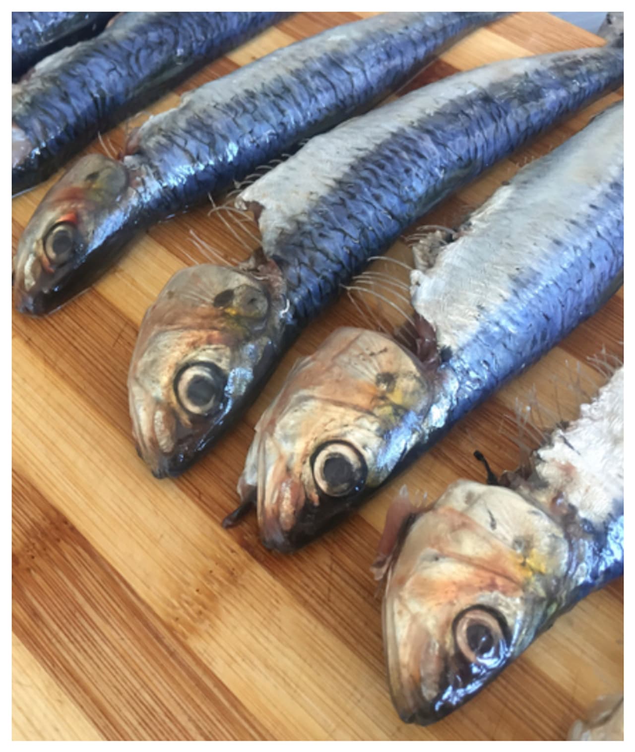 చేపలు తింటున్నారా? చేపలు తింటున్నారా?