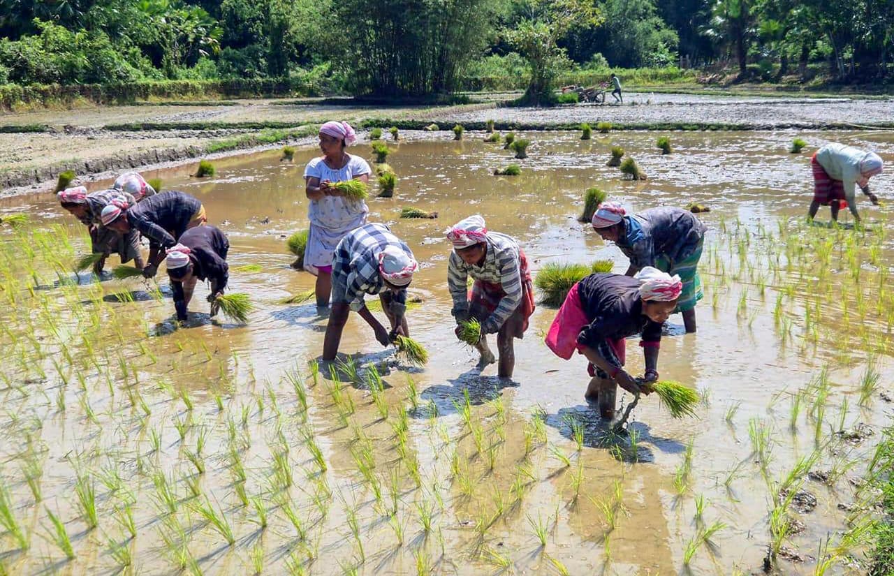 தமிழகத்தில் விவசாய உற்பத்தி அதிகரிப்பு