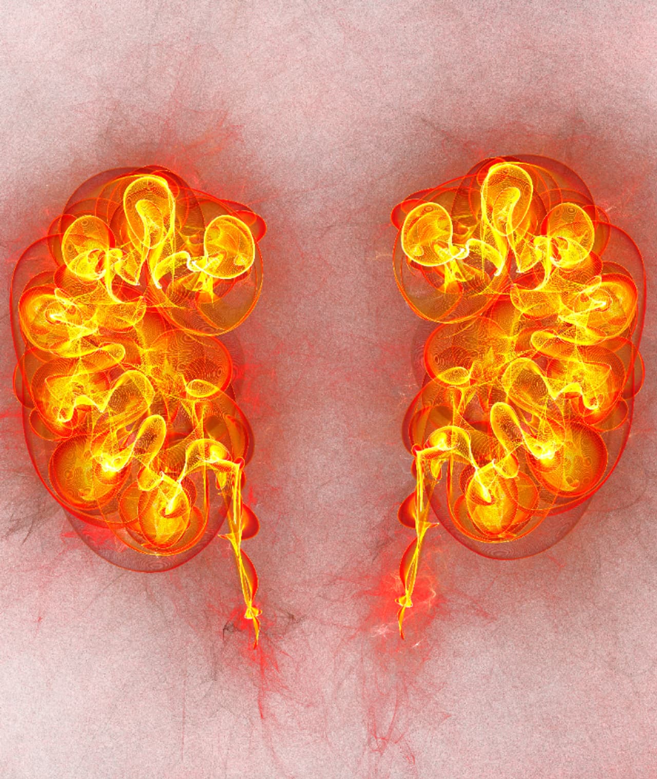 ಪ್ರಮುಖ ಅಂಗ