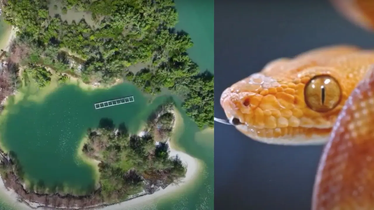 దూరం నుంచి అందంగా కనిపించే ద్వీపంలో ఎన్నో వింతలు దూరం నుంచి అందంగా కనిపించే ద్వీపంలో ఎన్నో వింతలు