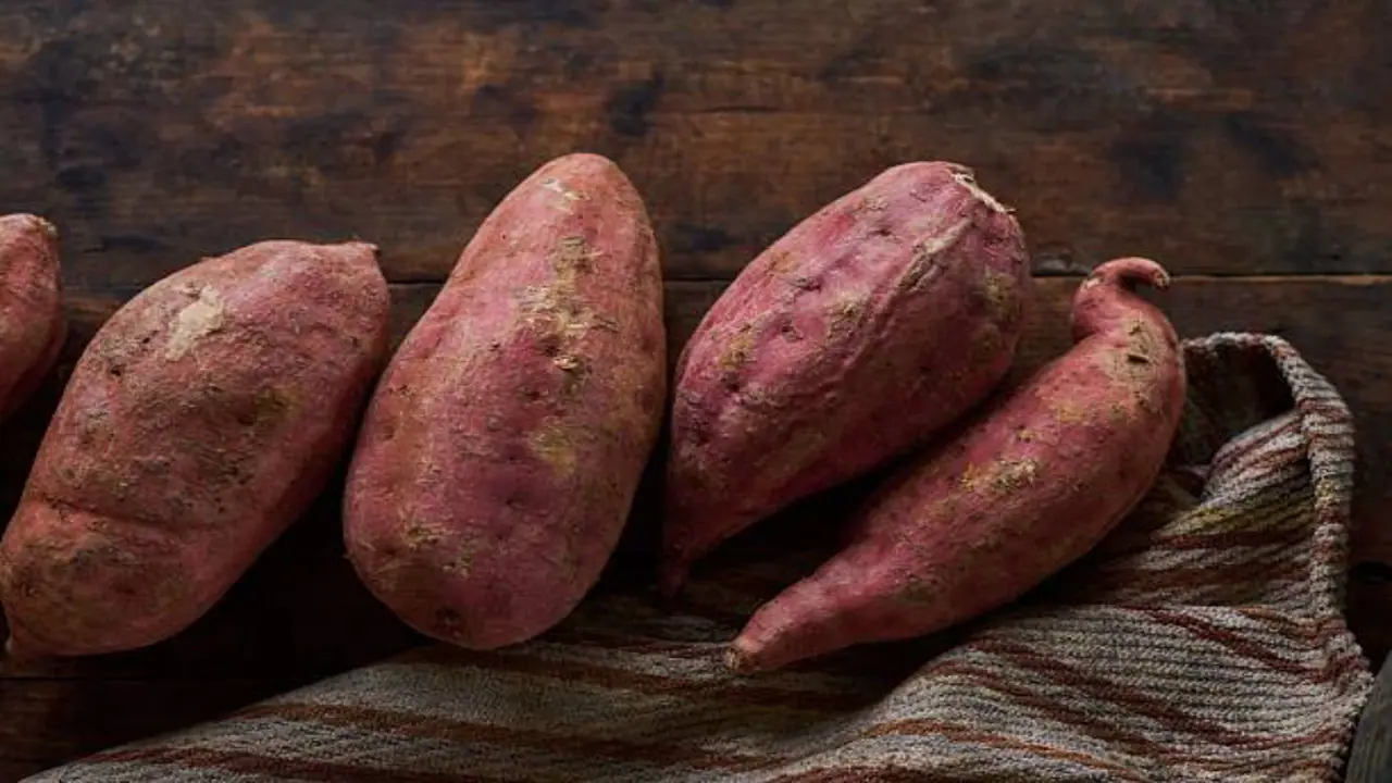 Sweet Potatoes in Winter Sweet Potatoes in Winter