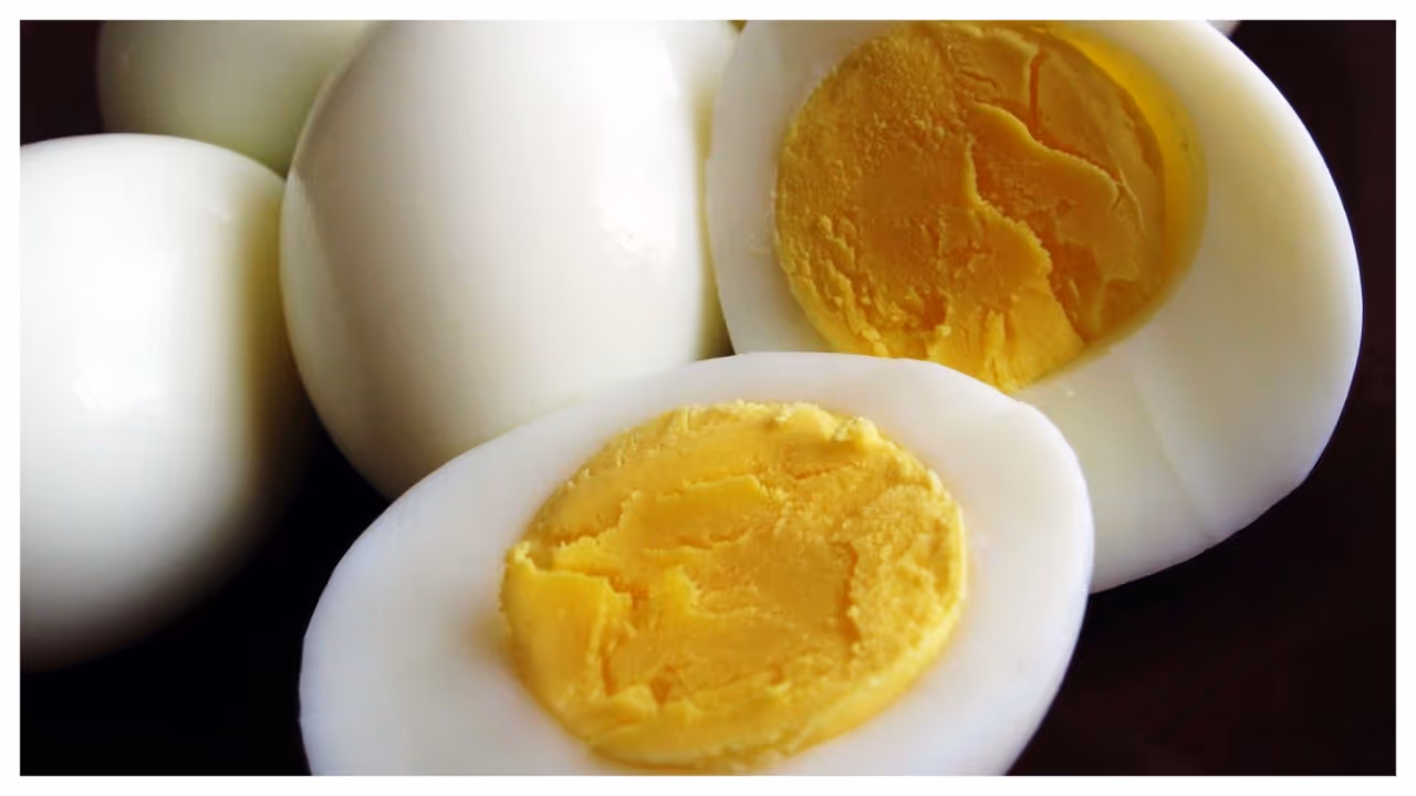 గుడ్డు గుడ్డు