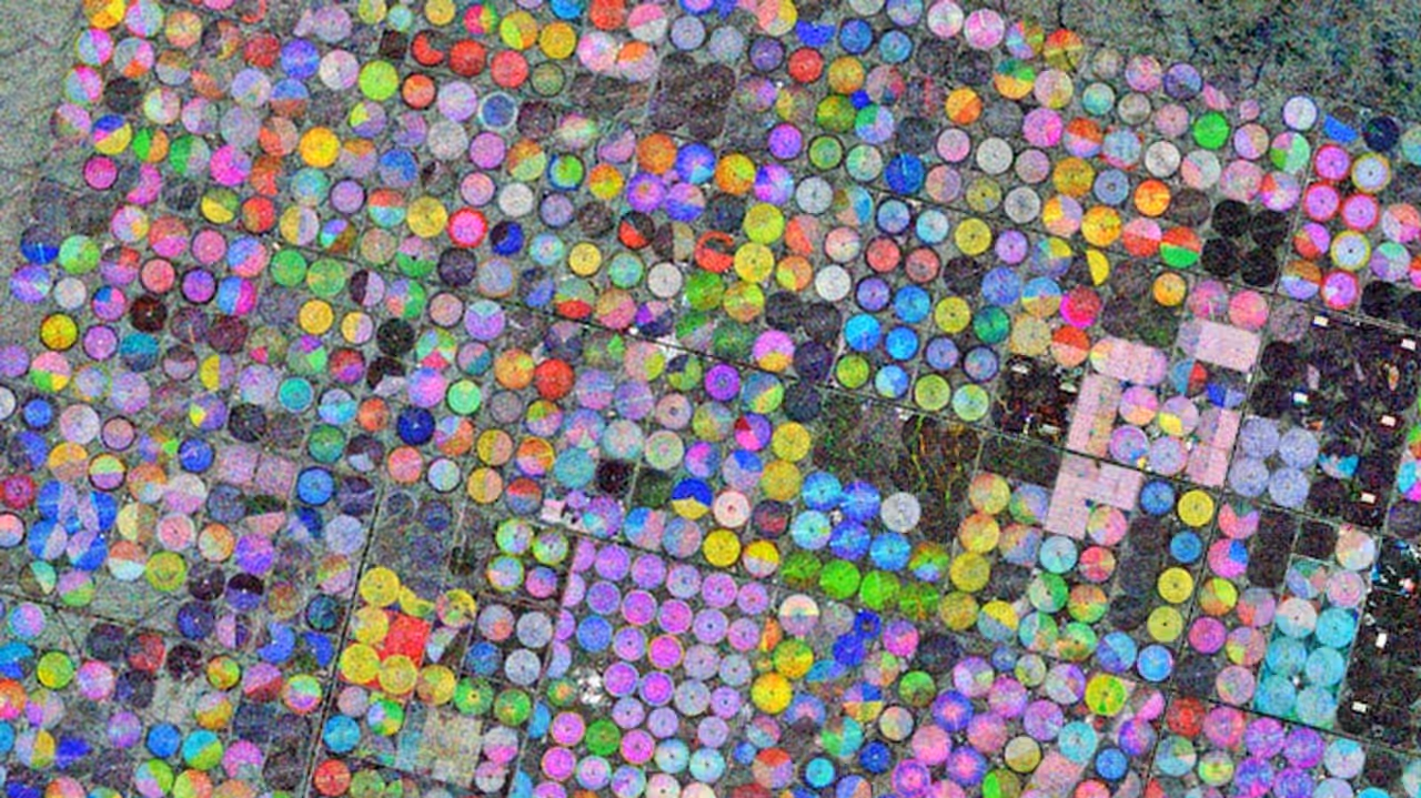 பாலைவனத்தில் வண்ண வளையங்கள்