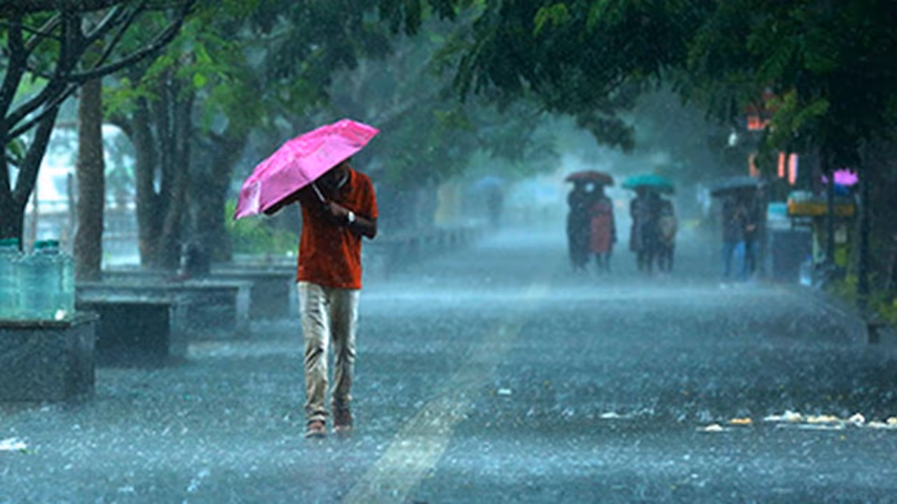 മഴക്കാല രോഗങ്ങളെ ചെറുക്കാൻ ചെയ്യേണ്ട കാര്യങ്ങൾ