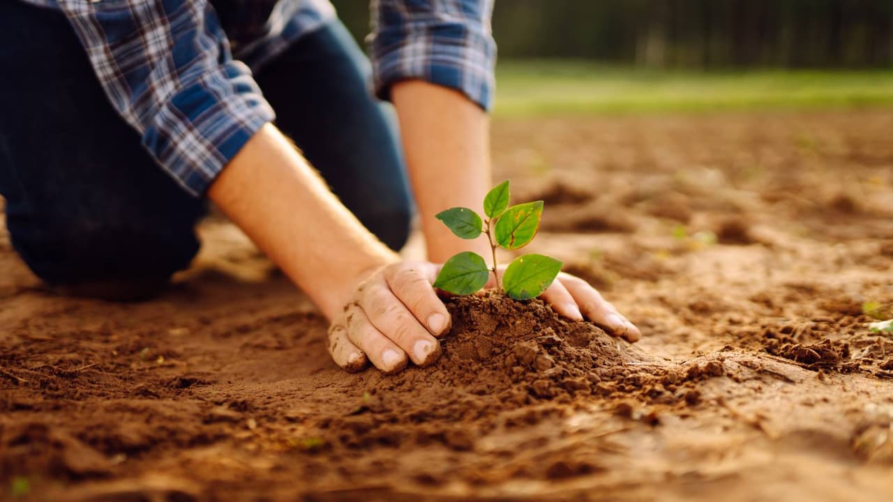 हरियाली अमावस्या के उपाय हरियाली अमावस्या के उपाय