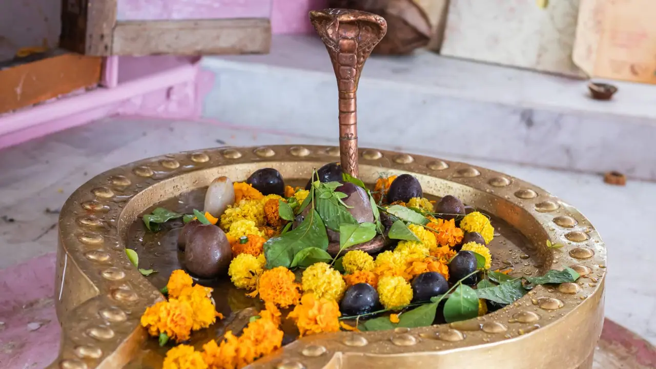Nag Panchami Nag Panchami