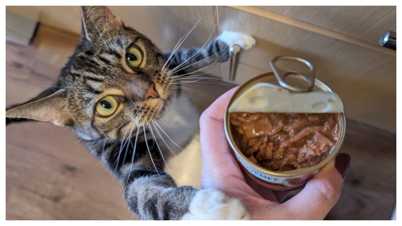 ഭക്ഷണങ്ങൾ ഭക്ഷണങ്ങൾ