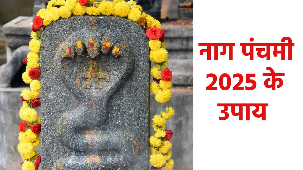 राशि अनुसार काल सर्प दोष के उपाय राशि अनुसार काल सर्प दोष के उपाय