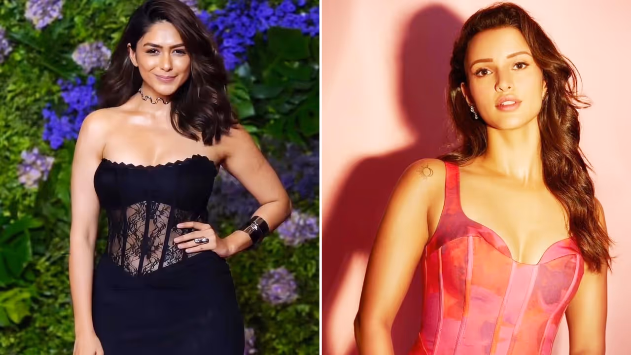 मृणाल ठाकुर तृप्ति डिमरी की लेटेस्ट फिल्में