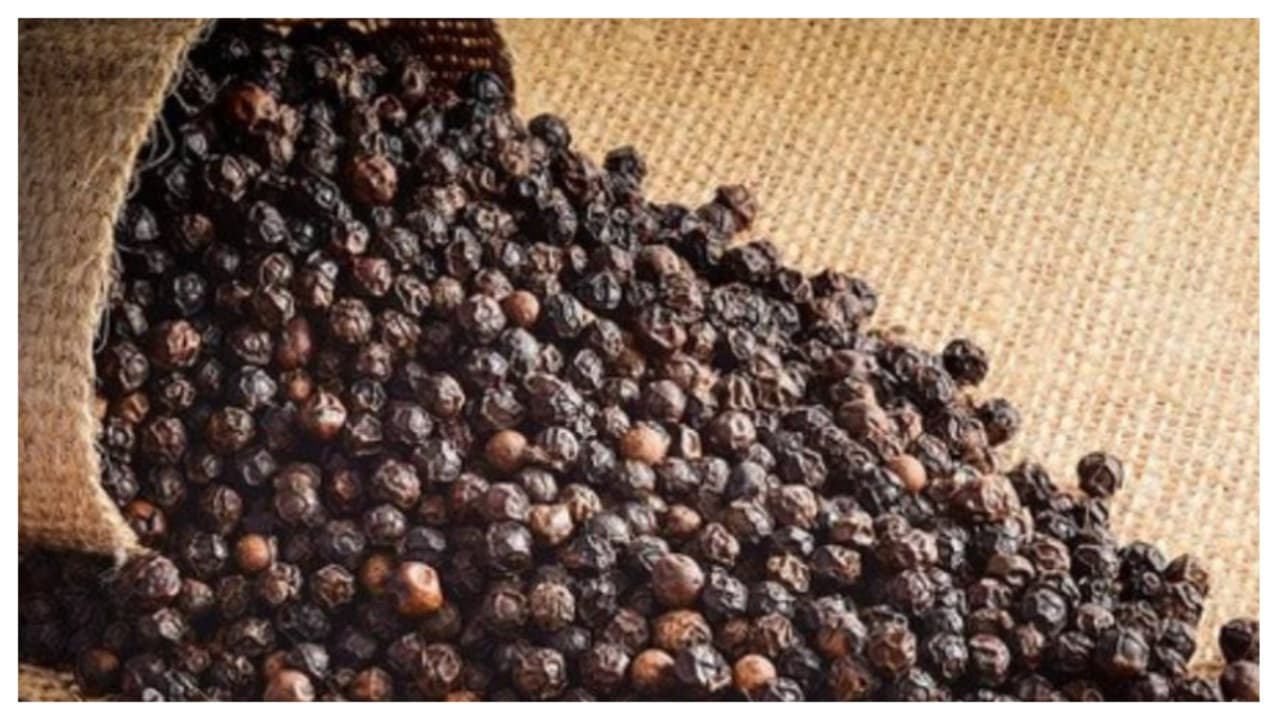Original Black Pepper vs Fake Original Black Pepper vs Fake