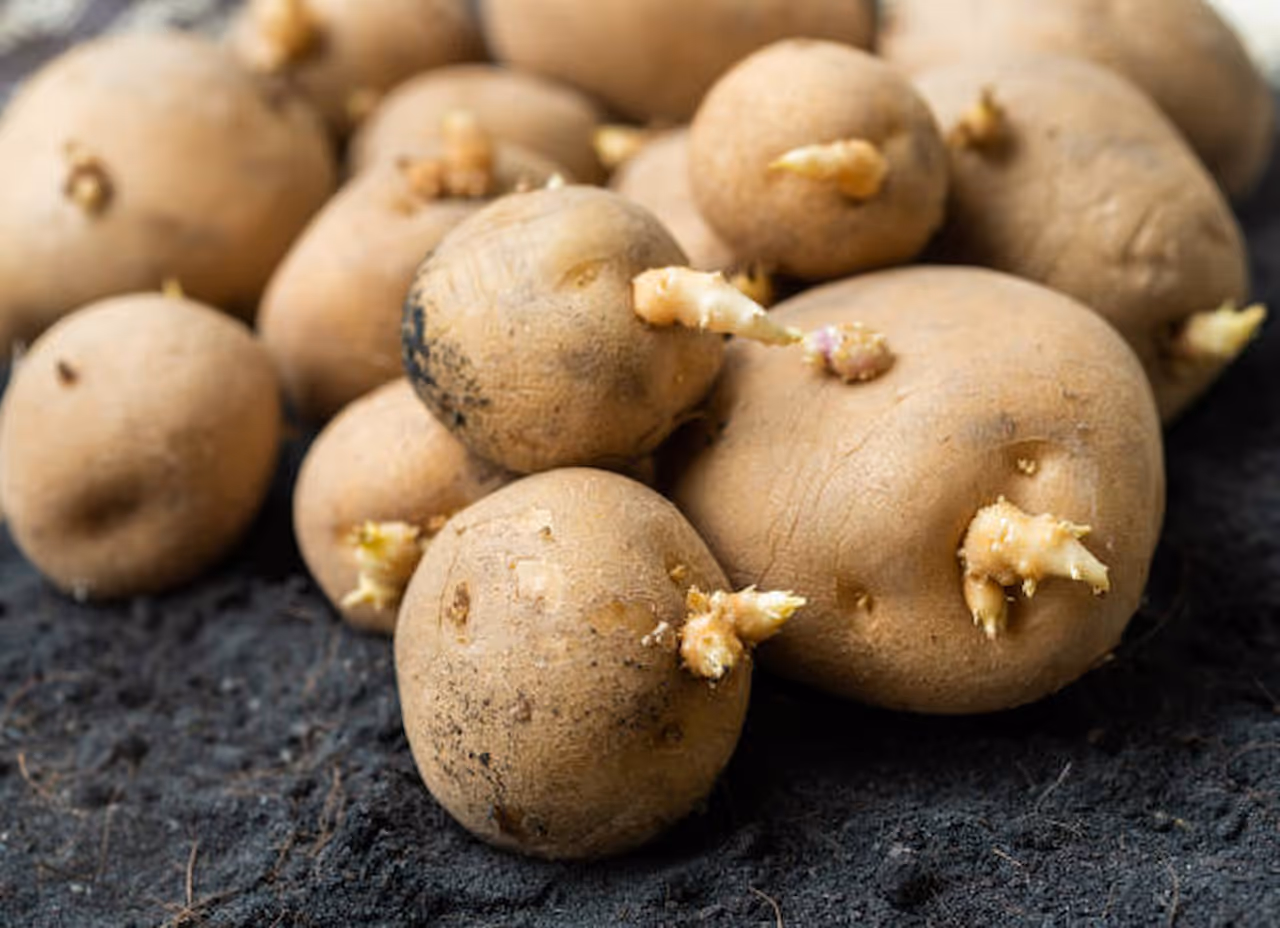 Potato.. Potato..