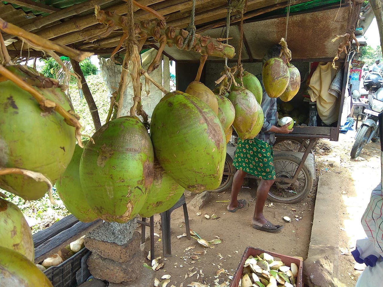 தேங்காய் தண்ணீர் சிலருக்கு தீங்கு விளைவிக்கும்