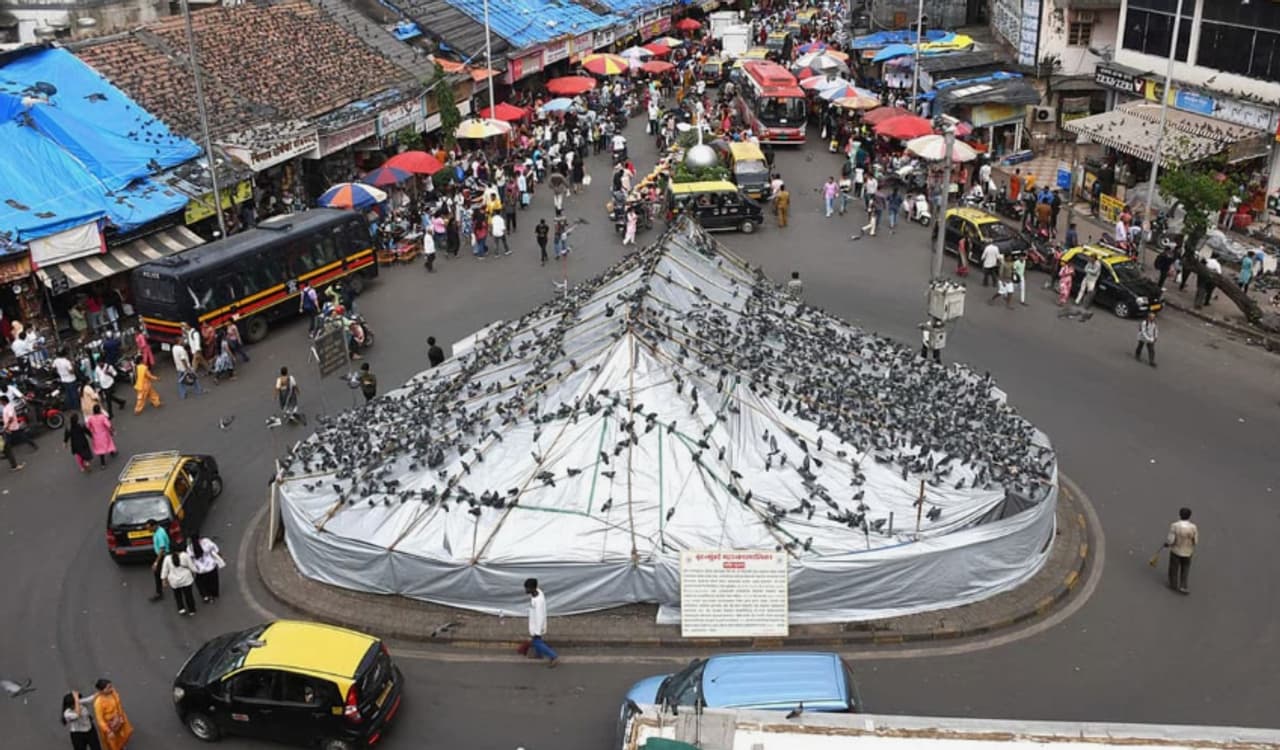 दादरचा कबुतरखाना दादरचा कबुतरखाना